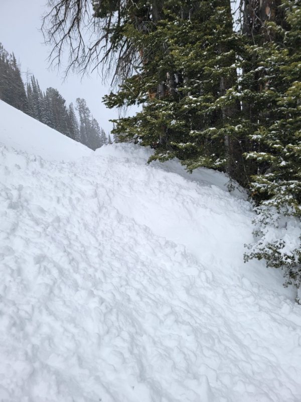 Debris from a small skier-triggered slab avalanche. The avalanche broke 150' wide and 6-10" deep on a thin layer of small facets above a stout rain crust. 

The slide occurred in the Smiley Ck drainage on a NE-facing slope at 8,500'. 
