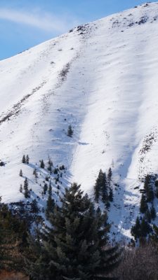 Small skier triggered wet loose avalanche on Della Mtn, east aspect. 