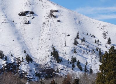 These wet loose avalanches released naturally on Della Mtn in Hailey on Tuesday afternoon. East aspect. 