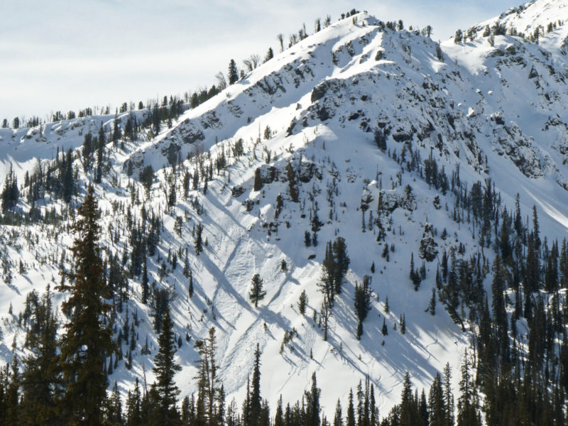Wet loose avalanches in middle elevation (9200'), N-facing terrain in Grand Prize Gulch.