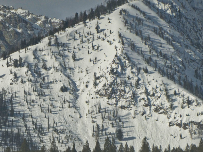 Numerous small wet loose avalanches in the northern Sawtooths. 