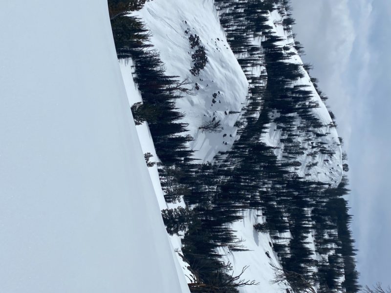Public Field Report: Avalanche peak