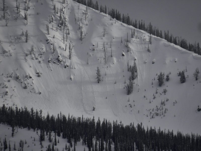 These wet loose avalanches failed near Banner Summit on a N-facing slope at 8,200'. They likely failed during the day on 3/1, as the rain line climbed when rain was falling on new snow.