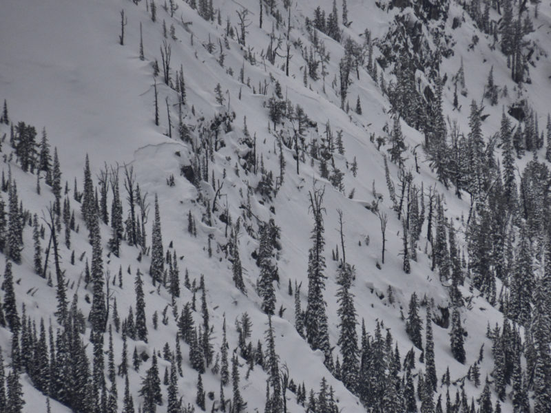 These slab avalanches failed on N/NE facing slopes at 8,300-8,500' near Banner Summit. Based on their location and the appearance of the crowns they likely failed on a layer of weak snow underneath. You can see that the bed surface has a grey/dark appearance to it, which is generally an indicator of faceted grains. Across our forecast area, weak snow developed at the surface during January and February. 