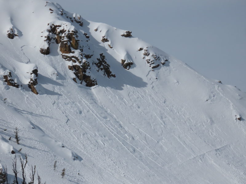 A close up of a portion of the crown of a series of avalanches that failed near Bull Trout Point in the Banner Summit Zone. The crowns pictured here span about 350' of terrain on a NE/E-facing slope around 8,600'. The straight line in the bed surface in the lower right of the photo appears to be an old snowmobile track. 
