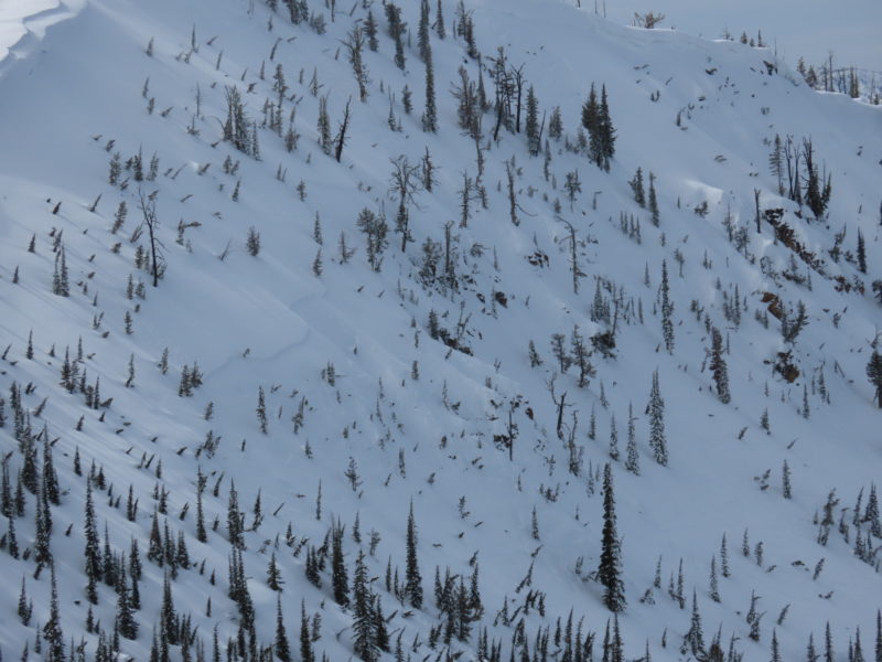 Crown of a slab avalanche that failed near Bull Trout Point on a N-facing slope at 8,500'. This crown spans about 400' of terrain. 