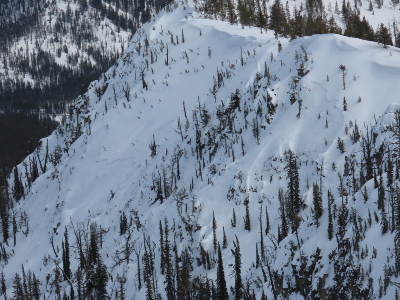 These large slab avalanches failed near Bull Trout Point in the Banner Summit Zone. These crowns span hundreds of feet of terrain. The slides pictured here failed on a N-facing slope around 8,200-8,300'. 