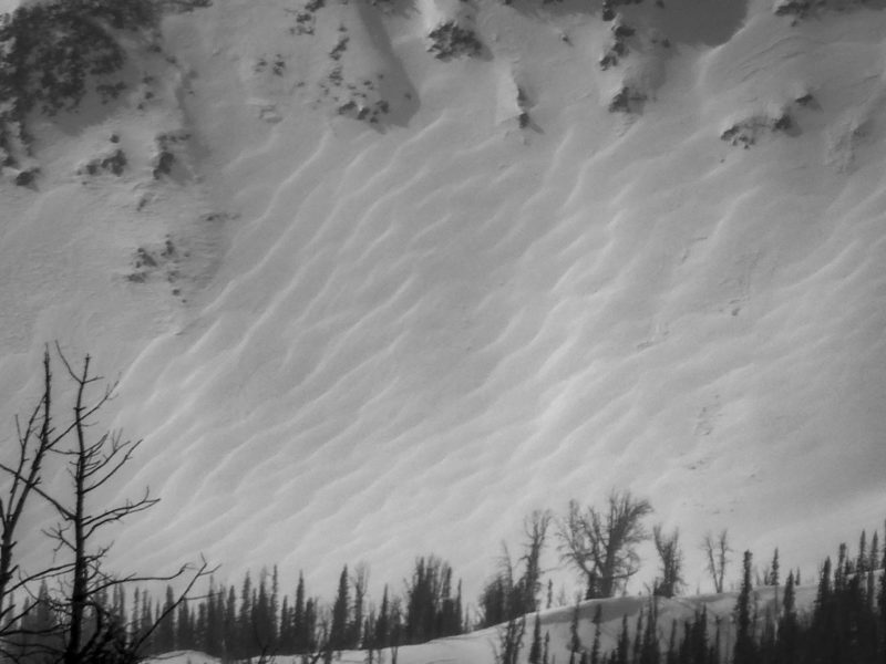 Drifting of new snow formed these dunes in an alpine cirque in the W. Smokys. 