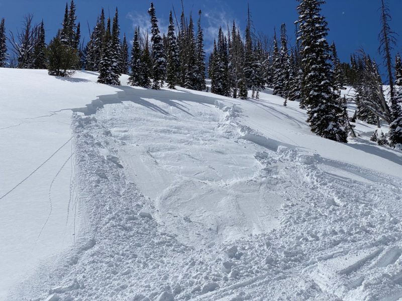 Snowmobilers triggered this avalanche Friday afternoon after several riders had ridden up and down the slope for 15-30 minutes. The crown is 2-3 feet thick, and the slide was 100-150 feet wide. N aspect near 9000' in the Vienna area west of Smiley Creek.