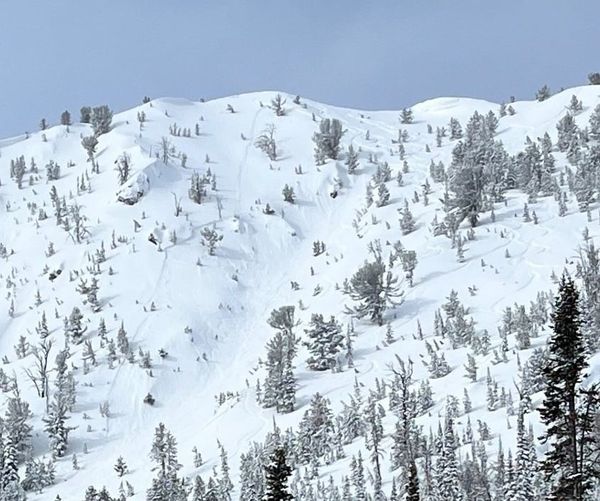 This soft slab avalanche was intentionally triggered by skiers. 