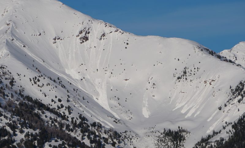 Hundreds of wet loose avalanches released naturally in alpine terrain on May 4th. This photo of Galena Peak shows what most alpine cirques looked like.