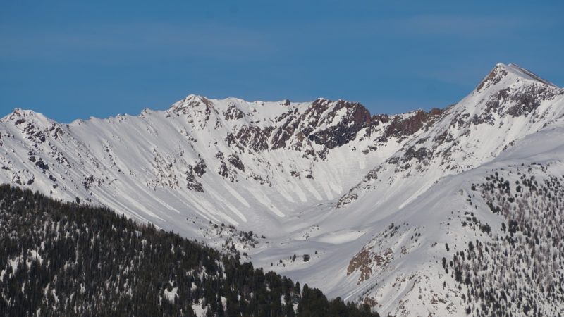 Natural wet loose avalanches in the central Boulder Mtns. 