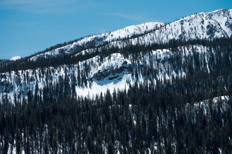 Public Field Report: Avalanche Peak