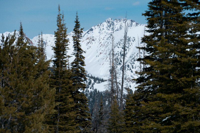 Public Field Report: Avalanche Peak