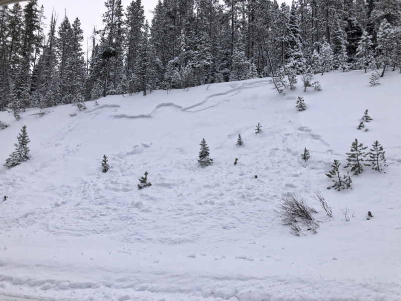 Small avalanche along highway 21 that failed on weak snow that formed during the November dry spell.