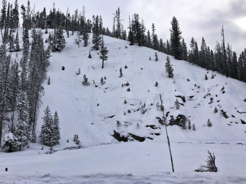 Small avalanche along highway 21 that failed on weak snow that formed during the November dry spell.