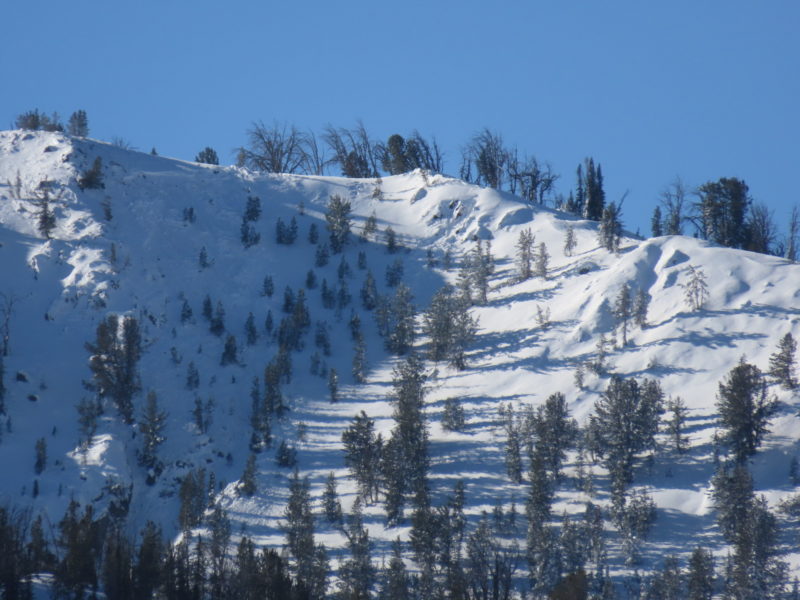 This slab avalanche on Titus Ridge was remotely trigged on the evening of 11/5.