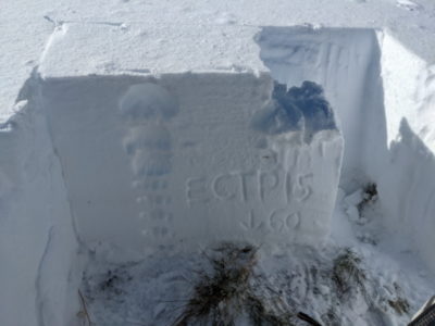 Snowpit dug at 9,200' on an E/NE-facing slope