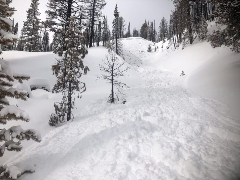 Riders in the Alturas drainage near Smiley Creek remotely-triggered this avalanche from low-angled terrain several hundred yards away. Monday, Dec 5th.