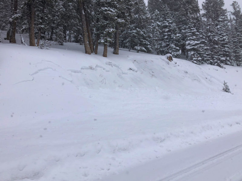 Avalanche above Camp Creek on HWY 75 en route to Galena Summit.