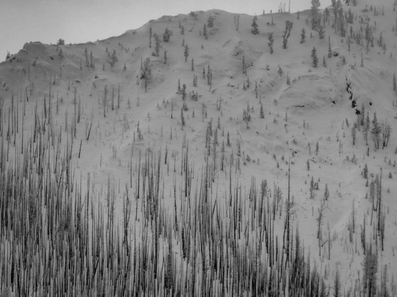 Numerous crowns span this 8,900' N face between the mouths of Smiley Ck and Frenchman Ck. 