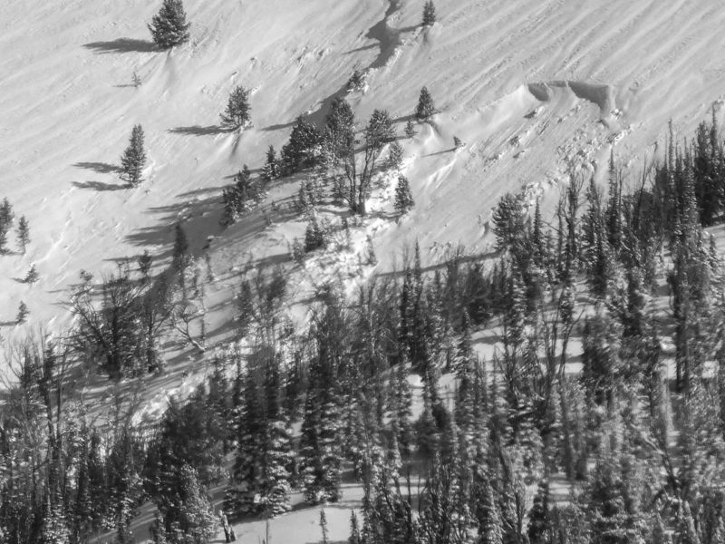 Deep crown of a very large avalanche that released at 9,500' on a cross-loaded, W facing slope above Spring Ck in the Boulders. 