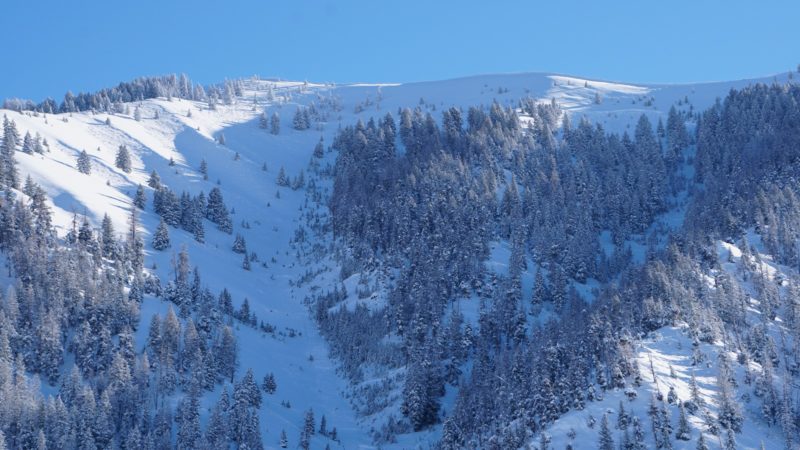 Two very large, D3 avalanches released in the East Fork of the Big Wood River drainage downstream of Triumph. The slides involved multiple starting zones and ran over 2000' vertical. 