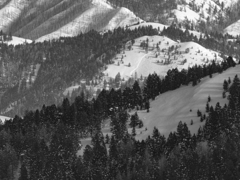 Large avalanches W of Shaw Mtn near Dollarhide Summit. 