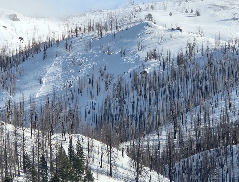This large slab avalanche likely released around Dec 21st during the wind event. W-NW aspect near 9100' between Cunard and Lost Shirt Gulches. 