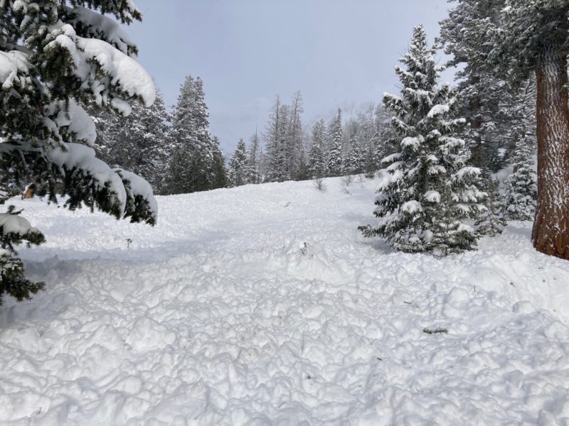 Snowmobilers riding in the Boulder Foothills on Monday, Dec 12, remotely triggered this avalanche while riding in a flat meadow below. It released 800-1000' above them. It released from approximately 9300' on a W aspect.