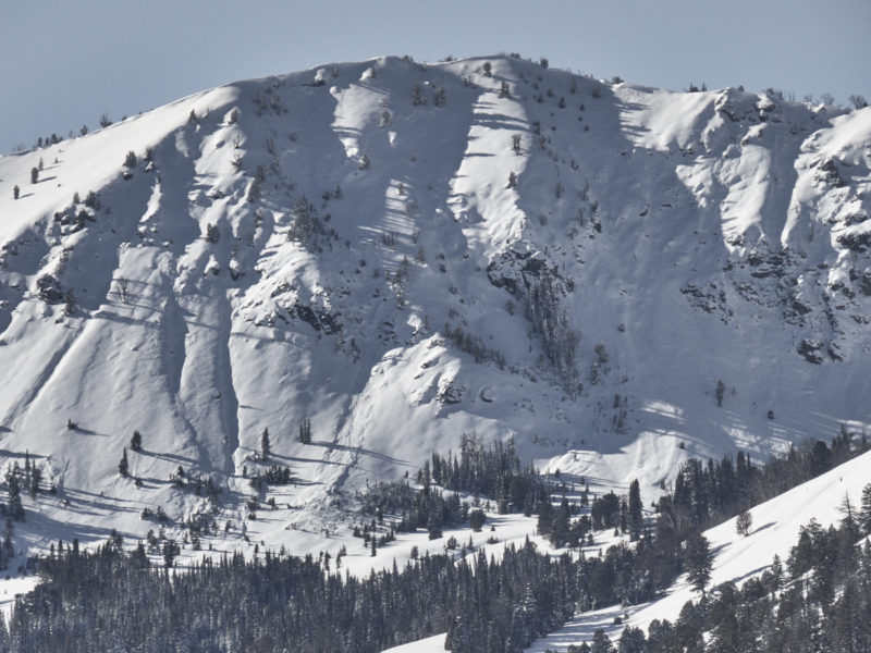 Widespread avalanche activity is visible in this photo of the head of Apollo Creek in the Baker Creek drainage. This slope faces E at 9,500'.