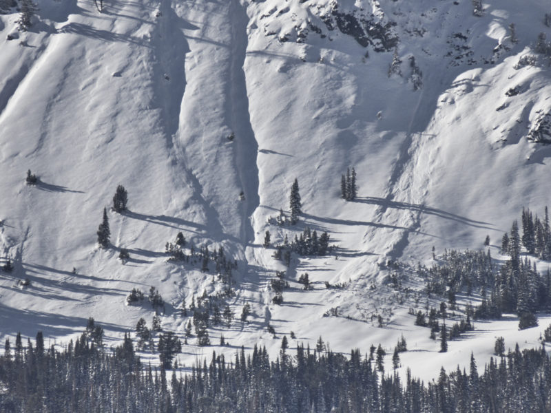 Debris from widespread avalanche activity is visible in this photo of the head of Apollo Creek in the Baker Creek drainage. This slope faces E at 9,500'.