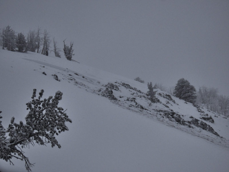 This large avalanche was remotely triggered from 400-500' away on the ridgeline above. It broke 1-2' deep on a S-facing slope at 9,500', failing on the weak snow near the ground that exists across the forecast area.This slope had been heavily affected by previous winds.
