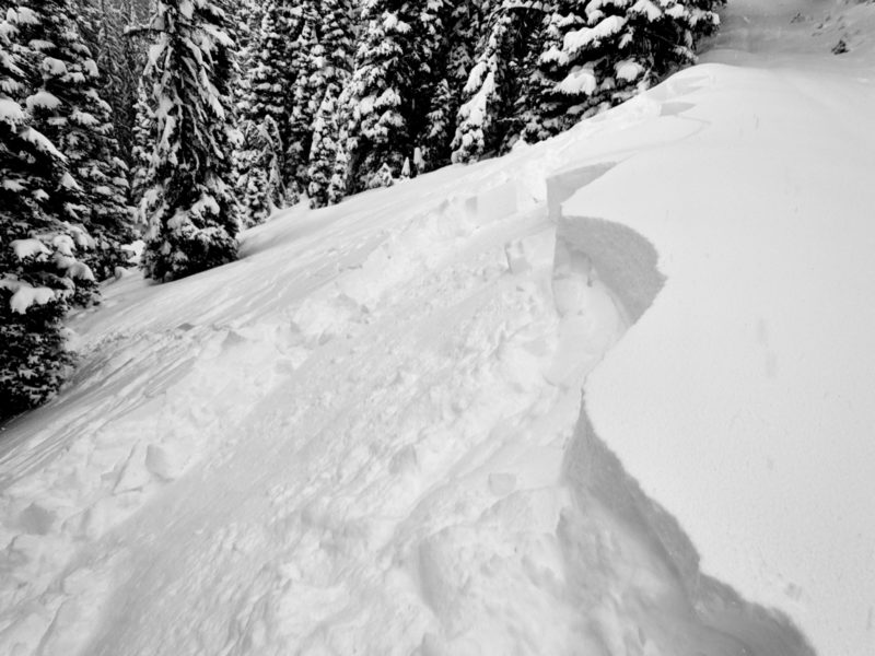 This small slope north of Baker creek avalanched as a skier approached it from the road above. The skier was approximately 20m away from the slope when they felt a collapse and watched this slope release. The slab failed on very weak, well-developed facets below the 70cm (2+ feet) of new snow. This slope faces NE at 8,500'.