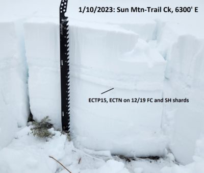 Snowpit in sheltered terrain at 6300' on an E aspect on Sun Mtn near Ketchum. 