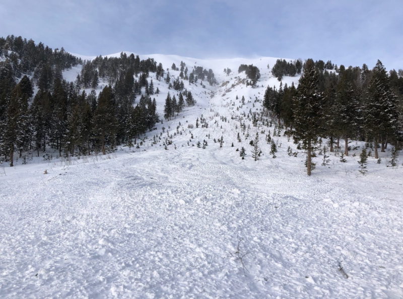 Debris from a large avalanche that was remotely triggered above Hyndman Creek in the Pioneer Mountains. This slide failed in a heavily wind loaded area and likely involved a persistent weak layer. It covered the summer trail with a pile of debris that was 100-150' wide and 4' deep.