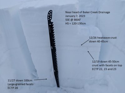 Snowpit dug at 8,600' near the head of Baker Creek.