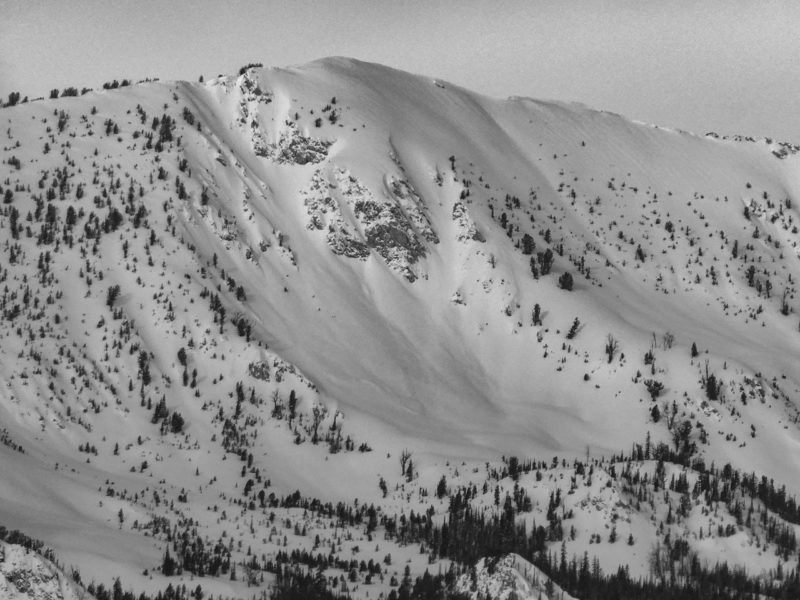 Debris of a large avalanche near Cabin Pk. Southern Sawtooth Mtns, NE aspect at 9,500'.