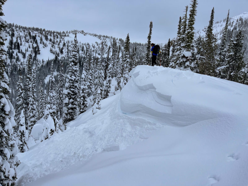 A touchy layer of surface hoar produced a natural avalanche and cracking in drifts along a middle elevation ridge line on the N side of Copper Mtn. 