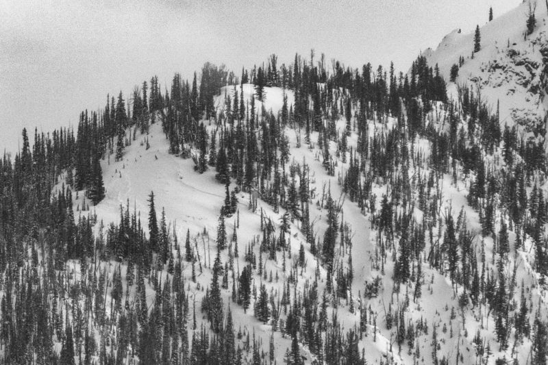 Avalanche near Iowa Pk in the Fishhook Drainage of the Sawtooths. 
