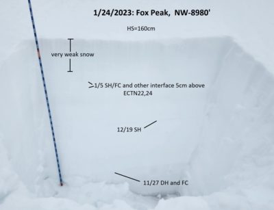 Snowpit on a NW aspect on Fox Peak near 9000'. 