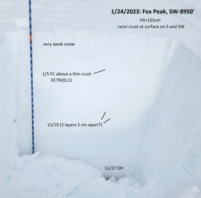 Snowpit on a SW aspect on Fox Peak near 9000'. 