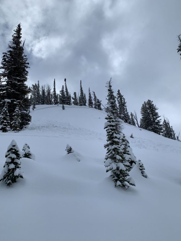This avalanche was remotely triggered by skiers in the Fishhook Drainage in the Sawtooths. It likely failed on a persistent weak layer buried in the first week of January. 8700', N-NW.