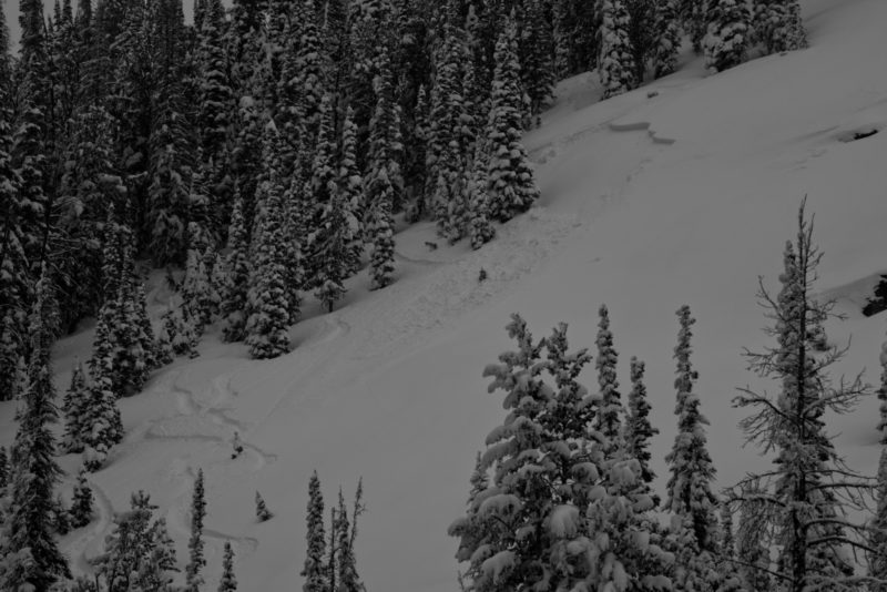 A small, likely skier-triggered avalanche near Galena Pass. Two sets of ski tracks were observed near the crown. The avalanche released on a thin layer of facets sitting atop a crust. NE aspect at 8,800'.