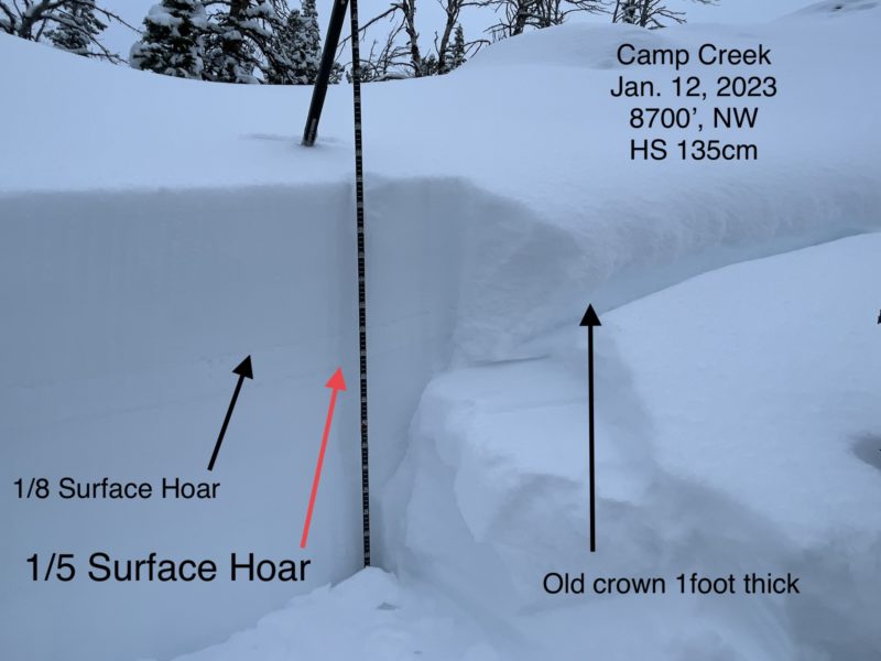 Crown profile of the possibly remote triggered avalanche in Camp Creek (near the "Anti-Cross"). The weak layer involves buried surface hoar on a NW slope at 8,700'.