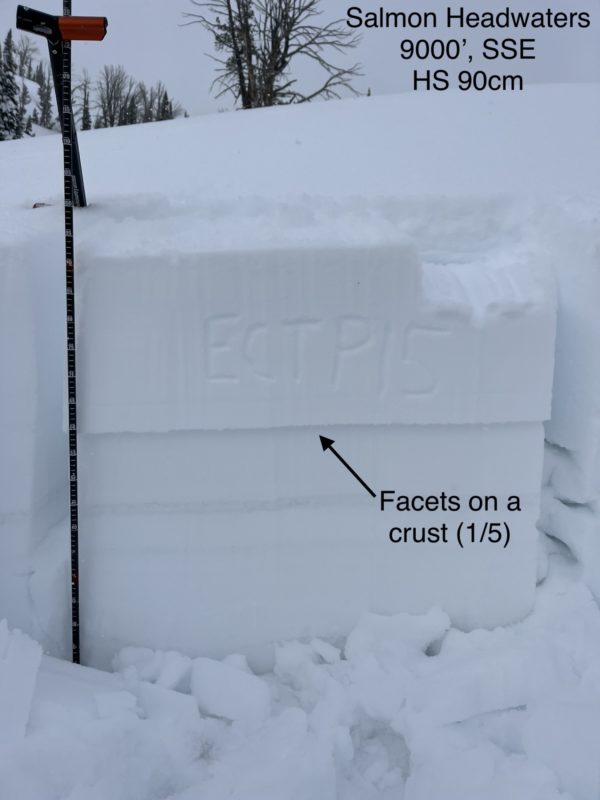 A crust + facet combo produced propagating results in snowpack tests. 