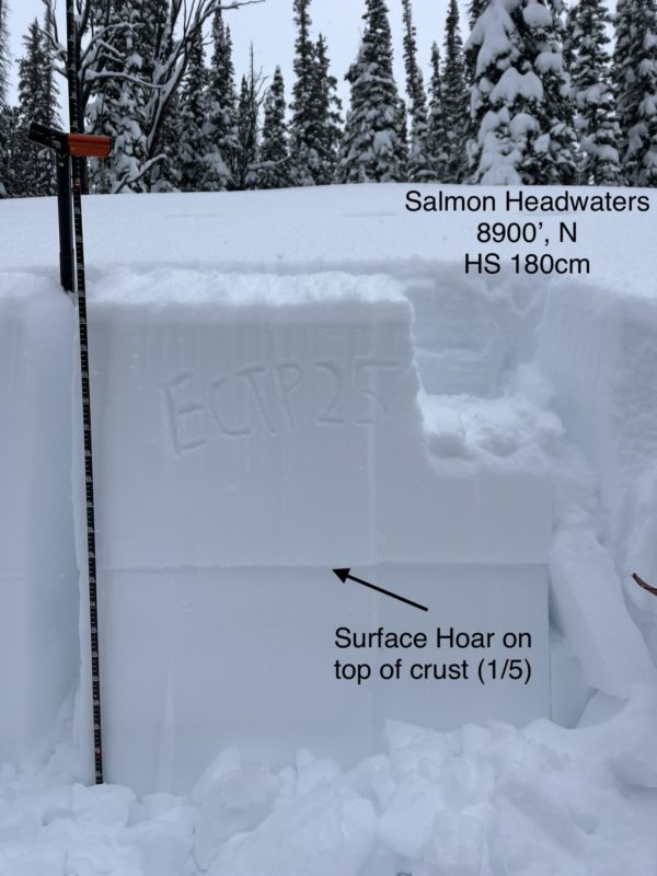 A weak layer of buried surface hoar produced propagating results in snowpack tests. 