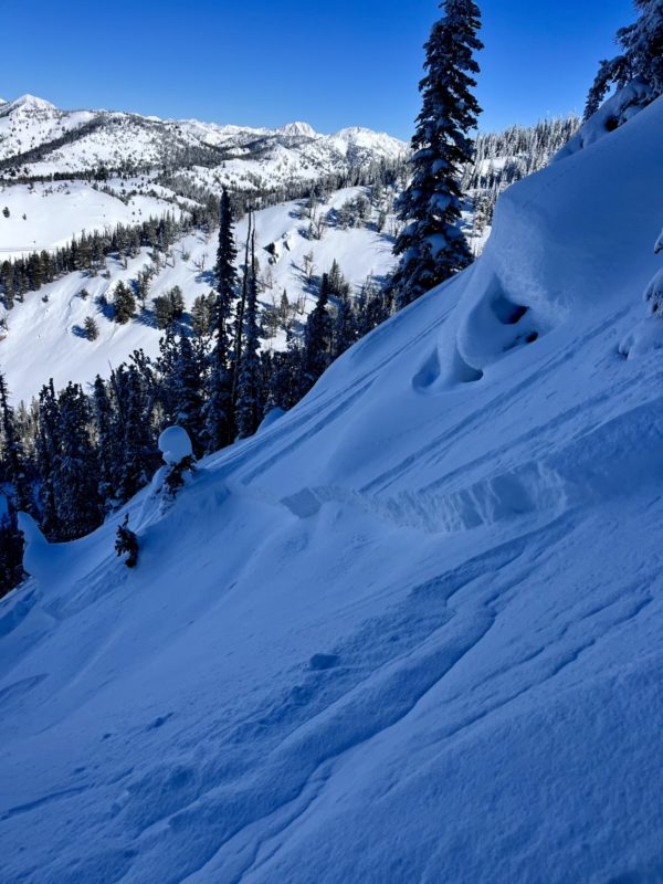 This 1-2 foot thick, skier-triggered avalanche failed on a layer of buried surface hoar. Surface hoar is frequently found in shady, partially treed locations like this. N-NE aspect near 9100' in the Salmon River drainage near Galena Summit. 