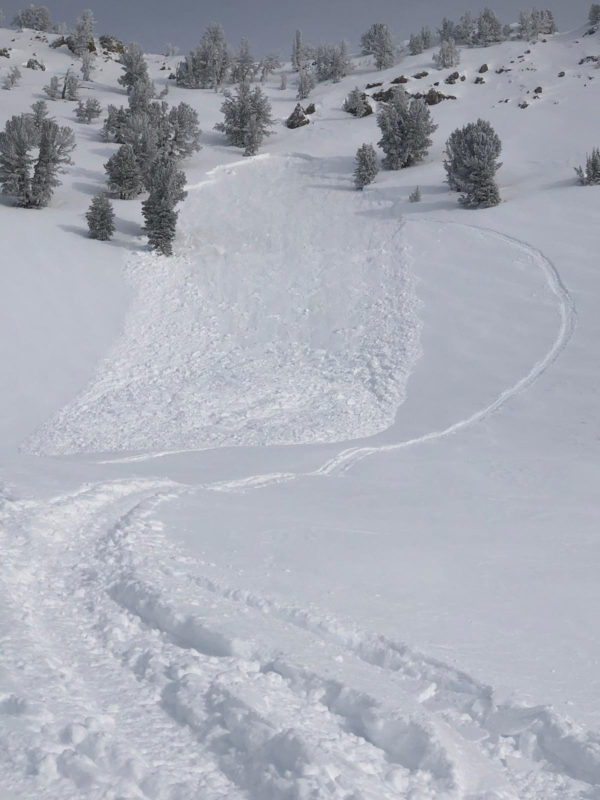 We have few details on this slide, but it appears to have been triggered by a snowmobiler while highmarking the slope. It failed on a W-facing upper elevation slope in the Headwaters Drainage above Smiley Creek. 