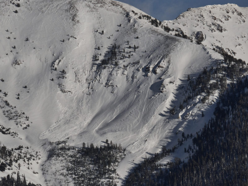 These avalanches happened on Galena Peak on 1/2, between 11AM and 3PM. The avalanche on the left started out as a wind slab and then broke down to deeper weak layers in the steeper, rocky terrain near the cliff band. When smaller avalanches trigger slides on deeper weak layers as they travel downslope it is known as "stepping down". The result is a larger, more destructive avalanhe.